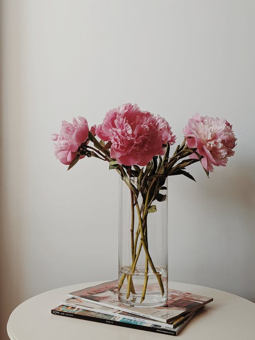玻璃花瓶中的粉红色花朵 · 免费素材图片