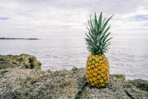 在水体旁边的灰色岩石上成熟的菠萝 · 免费素材图片