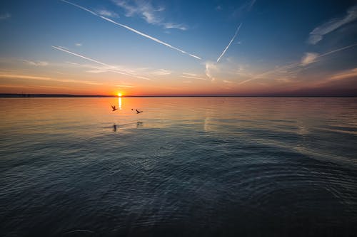 橙色日落期间有两只鸟在水体附近飞行 · 免费素材图片