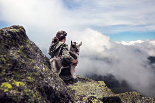 西伯利亚雪橇犬旁边的女人坐在灰色的岩石山丘上，一边看鸟瞰图 · 免费素材图片