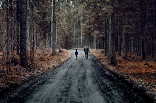 两人在树木之间的道路上行走 · 免费素材图片