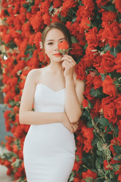 女人抱着红玫瑰 · 免费素材图片
