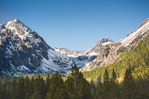 山与雪和树木 · 免费素材图片