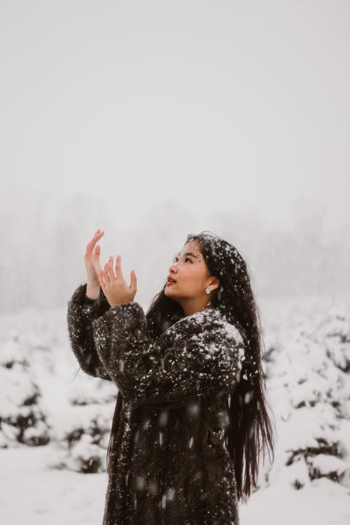 一场大雪倾盆 · 免费素材图片