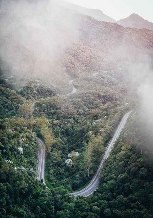 树木之间的道路的航拍 · 免费素材图片