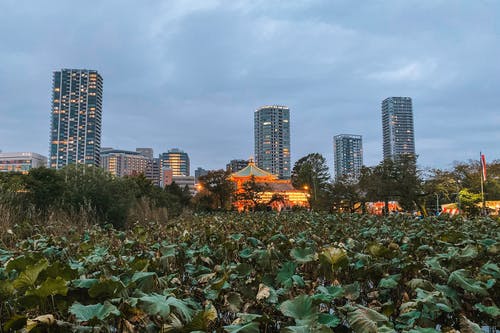 有关上野公园, 城市, 多云的天空的免费素材图片