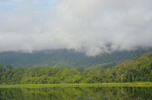 高大的树木在河和山附近 · 免费素材图片