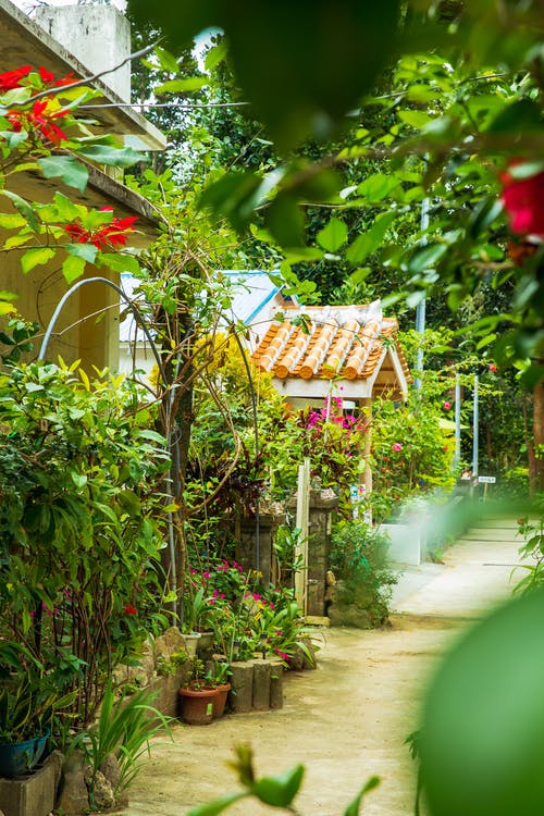 空旷的人行道，在绿化带房子的花园 · 免费素材图片