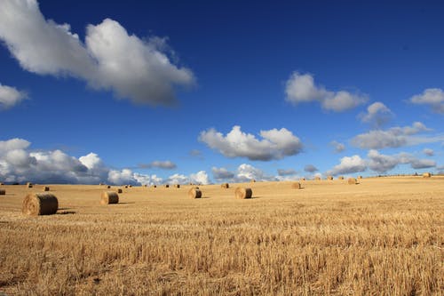 白天在蓝天和白云下的草地上的干草 · 免费素材图片
