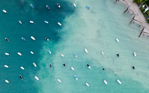 摩托艇在海岸附近在白天的海水 · 免费素材图片