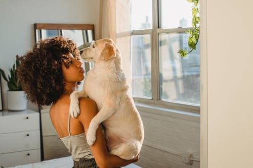 在家拿着可爱的拉布拉多猎犬的可爱的黑人妇女 · 免费素材图片