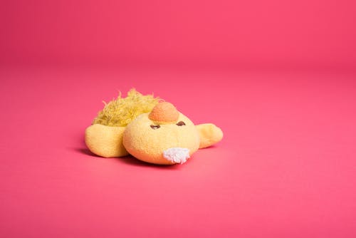 黄鸭毛绒玩具 · 免费素材图片