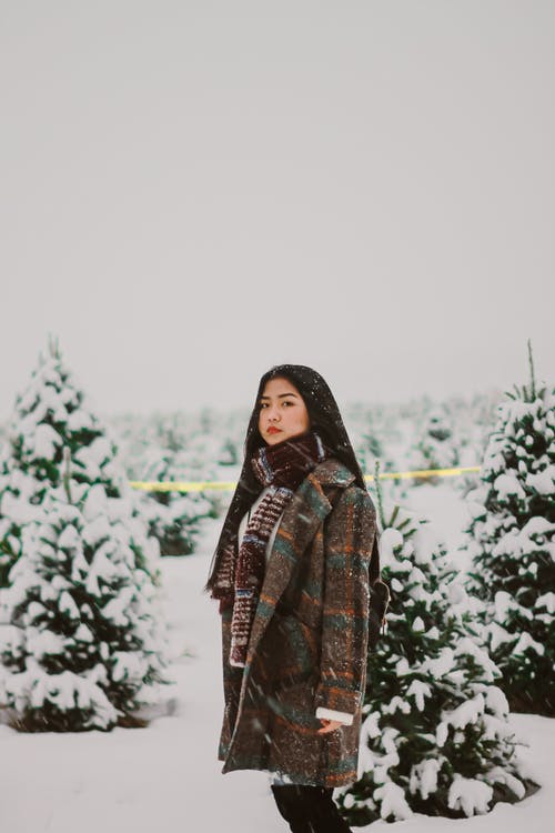 穿灰色和绿色外套站在雪原上的女人 · 免费素材图片