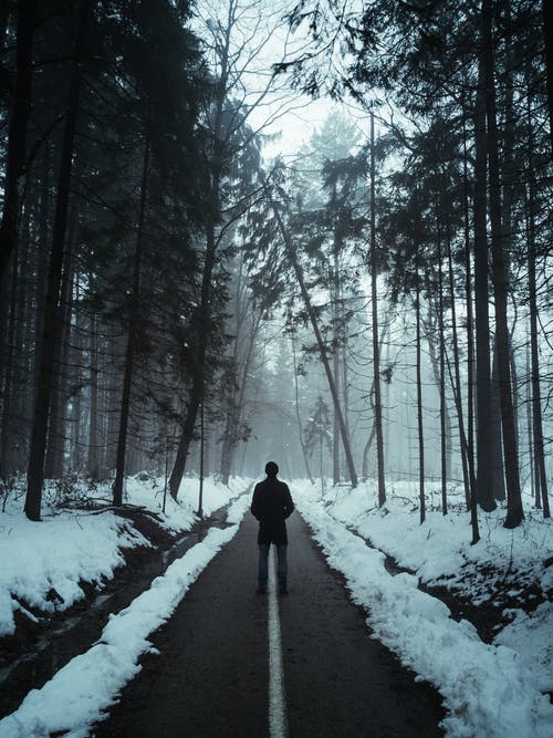 穿黑夹克的人在树木之间的积雪通路上行走 · 免费素材图片