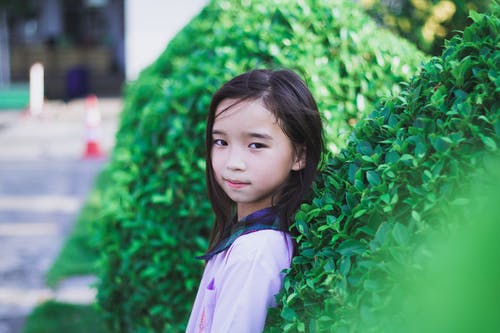 紫色长袖衬衫，站在绿色的植物旁边的绿色和黑色格子领的女孩 · 免费素材图片