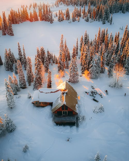 房屋，田野和树木被雪覆盖的航拍 · 免费素材图片