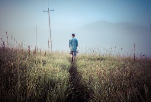 男孩走在绿草附近 · 免费素材图片