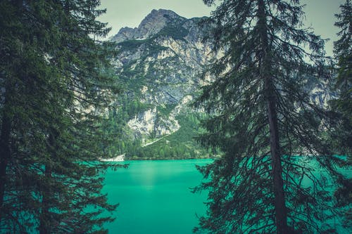 湖和山附近的绿树 · 免费素材图片