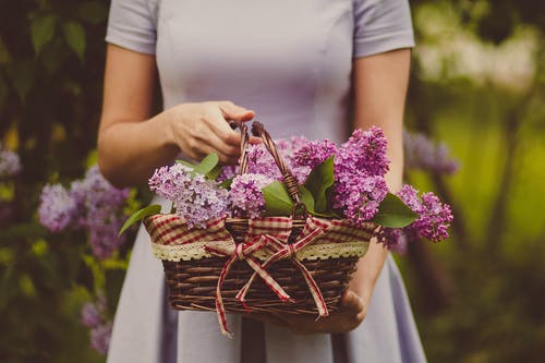 女人提着紫色的花 · 免费素材图片