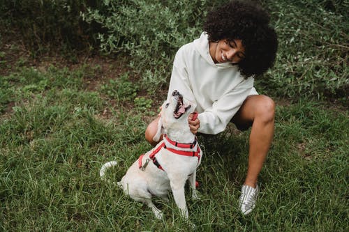 幸福的黑女人抚摸狗在公园 · 免费素材图片
