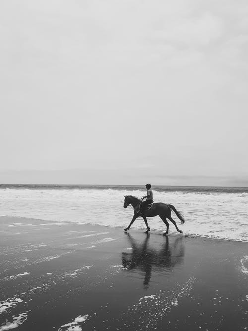 有关垂直拍摄, 海, 海洋的免费素材图片