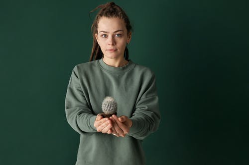 有关仙人掌, 女人, 工厂的免费素材图片