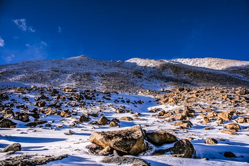 有关冬季, 冷, 大雪覆盖的免费素材图片