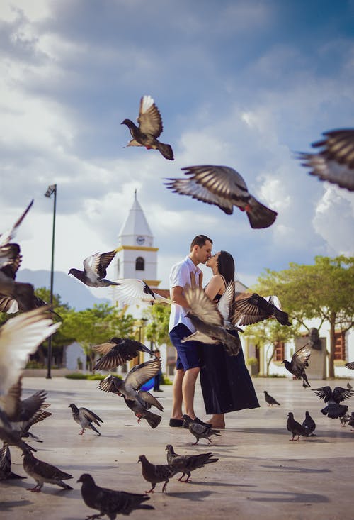 鸟被包围的情侣接吻的照片 · 免费素材图片