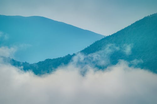 有关不变, 和平的, 和谐的免费素材图片