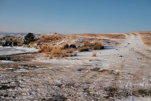 有关冬季, 大雪覆盖, 天性的免费素材图片