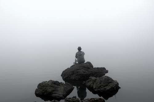 有关坐, 大雾天, 天性的免费素材图片