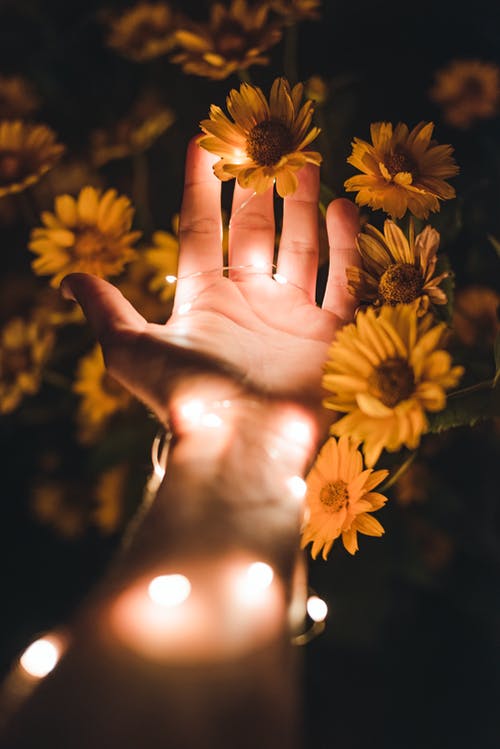 持有黄色花瓣花的人 · 免费素材图片