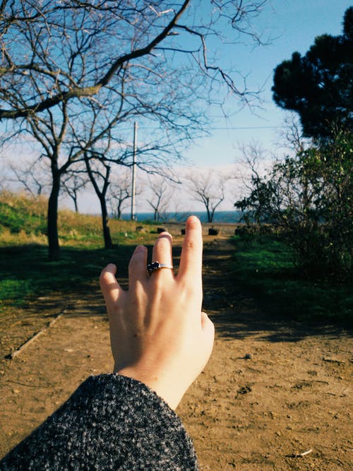 女人手上光秃秃的树，对天空 · 免费素材图片