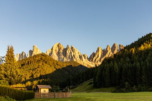 有关冷杉, 和平的, 和谐的免费素材图片