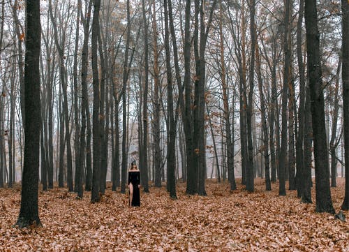 穿黑衣服的人走在森林上的棕色干叶 · 免费素材图片