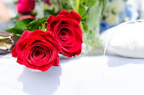 玫瑰花束的特写 · 免费素材图片
