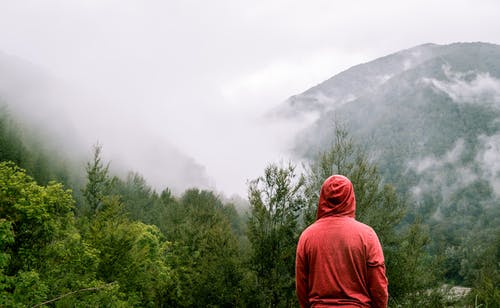 穿着红色连帽衫的人站在树上与远处的山附近 · 免费素材图片