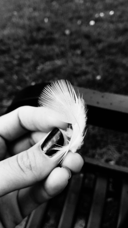 持羽毛人的灰度摄影 · 免费素材图片