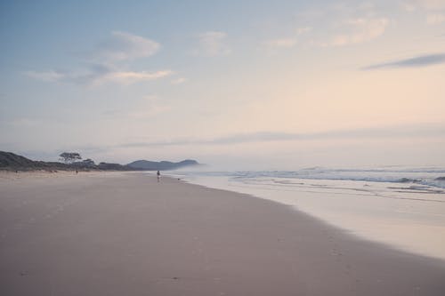 有关天性, 岸边, 海的免费素材图片