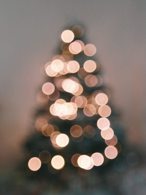 离焦模糊的图像的发光的圣诞树，对天空 · 免费素材图片