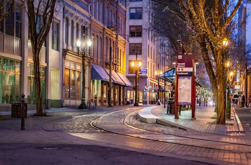 夜间的棕树 · 免费素材图片