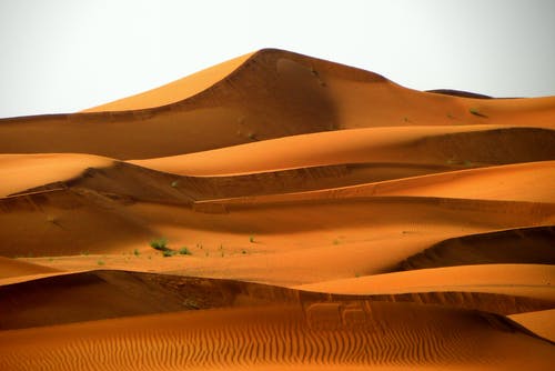 埃及沙漠 · 免费素材图片