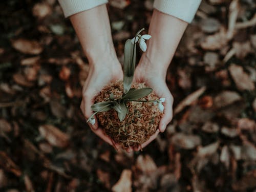 她手里拿着白花的人 · 免费素材图片