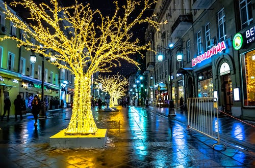 黄色迷你灯在树上的装饰 · 免费素材图片