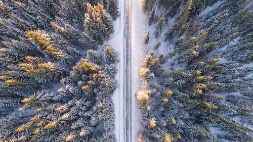 森林公路的航拍 · 免费素材图片