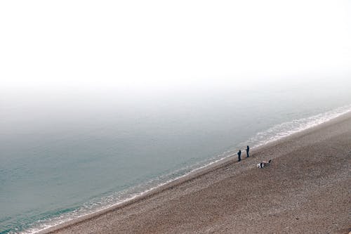 在海滩上钓鱼的人 · 免费素材图片