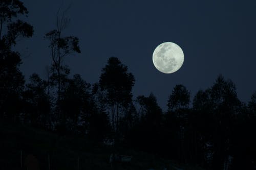 有关剪影, 夜空, 天体的免费素材图片