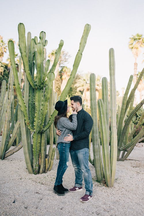 男人和女人互相抱着附近绿色仙人掌植物 · 免费素材图片