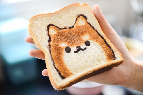 一片面包与狗脸 · 免费素材图片