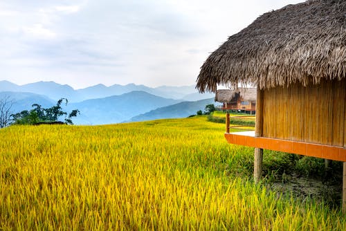 有关住宅, 假期, 国家的免费素材图片